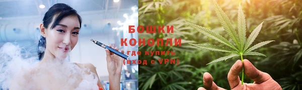шишки Алексеевка