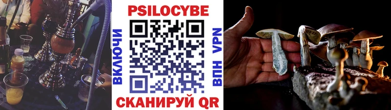 Псилоцибиновые грибы Magic Shrooms  KRAKEN зеркало  Козловка 